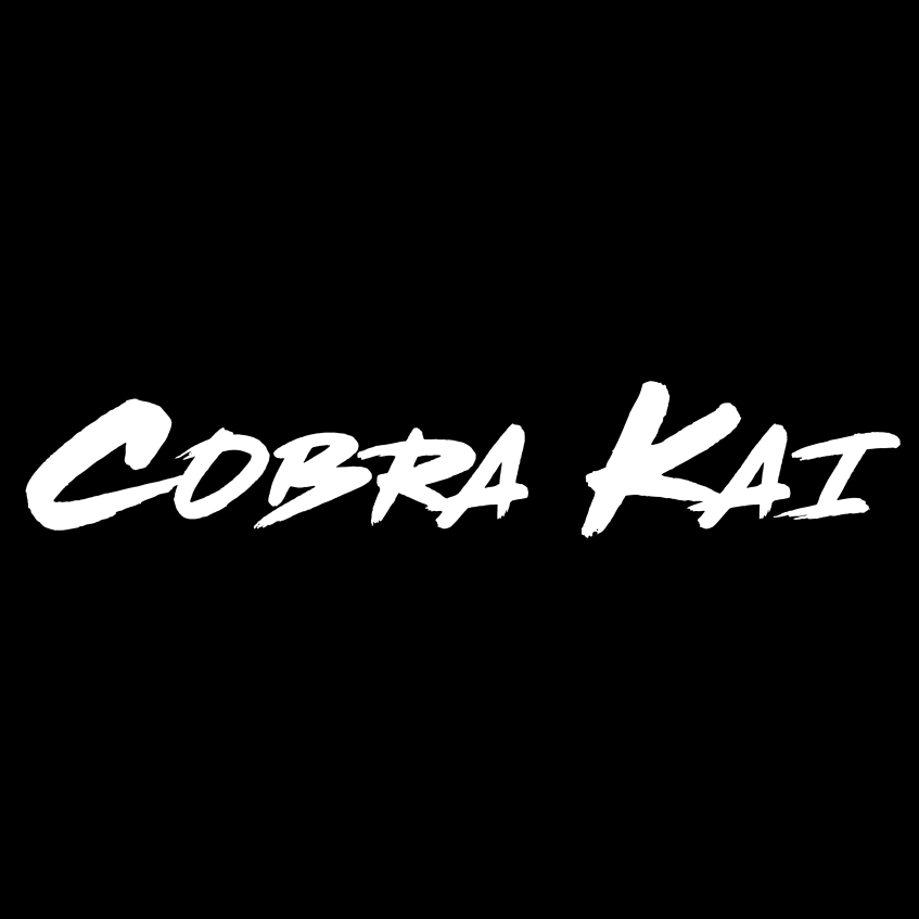 Cobra Kai Stunt Ensemble
